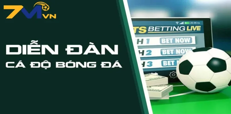 7m cung cấp những thông tin nào